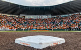 Texas Baseball (UFCU Disch-Falk Field)