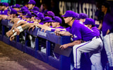 Jay Johnson LSU