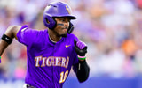 Michael Braswell LSU