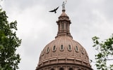 Texas state capitol