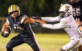 Syndication: Ocala StarBanner