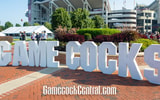 south carolina gamecocks