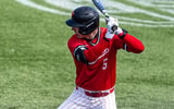 Ball-State-SS-Dylan-Grego-commits-to-Arkansas-out-of-NCAA-transfer-portal