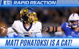 Rapid Reaction
