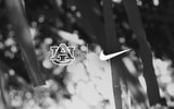 Auburn and Nike (Photo by Auburn Athletics)