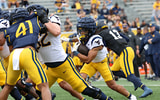 Jahiem White-WVSports.com