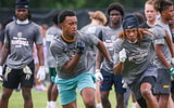 south carolina gamecocks db commit triston lewis