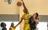 Davion Adkins