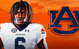 wilkes auburn afi