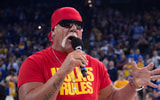 Hulk Hogan