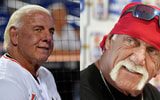 Ric Flair Hulk Hogan