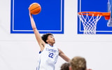 mark-pope-wasnt-the-first-to-compare-braydon-hawthorne-tayshaun-prince-kentucky