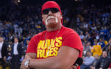 hulk hogan