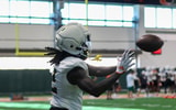 damari brown aug 1