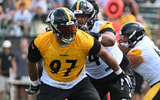 Cam Heyward (2)