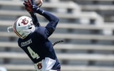Auburn WR Malcolm Simmons