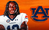 mathews auburn afi
