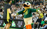 Oregon Duck Mascot