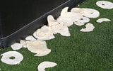 Tortillas on the field Big 12 Texas Tech