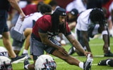 south carolina gamecocks running back rahsul faison