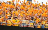 West Virginia Mountaineer fans cheer during the game