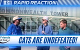rapid-reaction-toledo