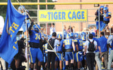 Tiger Cage_TW-0856