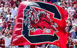 South Carolina flag
