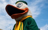 Oregon Ducks mascot Puddles