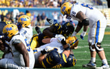 Pittbrawl