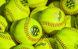south carolina gamecocks softball