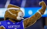 The Kentucky Wildcat mascot at Kroger Field, via Crawford Ifling, KSR