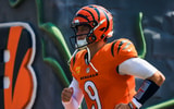 Joe Burrow (4)