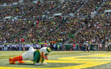 Oregon Duck