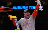 Bruce Pearl, Auburn