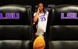 LSU MiLaysia Fulwiley