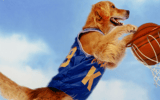 The original Air Bud, via Disney