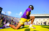 Aaron Anderson LSU