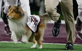 Texas A&M mascot Reveille IX dies
