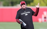 Bobby Petrino, Arkansas