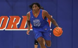 AJ-Brown-Florida-Gators