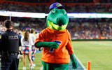 Florida Gators