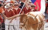 NCAA Football: Sam Houston State at Texas