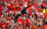 kentucky-vs-auburn-game-time-tv-network-announced