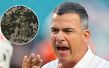 Miami-reveals-camouflage-uniforms-for-Stanford-game