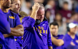 Brian Kelly, LSU
