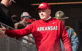 Bobby Petrino