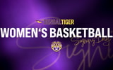LSU womens basketball
