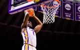 Mike Nwoko LSU