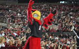 Louisville Cardinal cheers on the Cards against Boston College Saturday night at L&N Stadium. Oct. 25, 2025